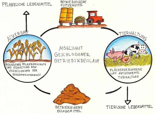 Biohof Enzenhöfer - Landwirtschaft